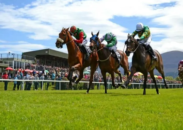 Szálloda Randles 4*